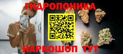 мдпв Донецк