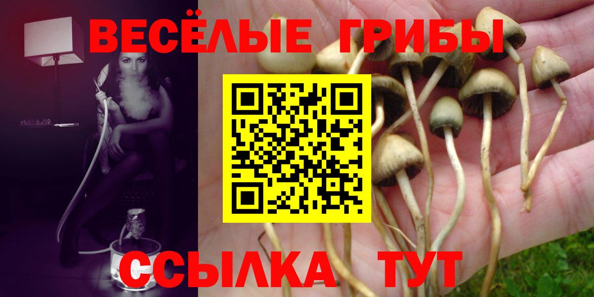 Галлюциногенные грибы прущие грибы  Галлюциногенные грибы GOLDEN TEACHER  Вход с VPN  Жигулёвск 